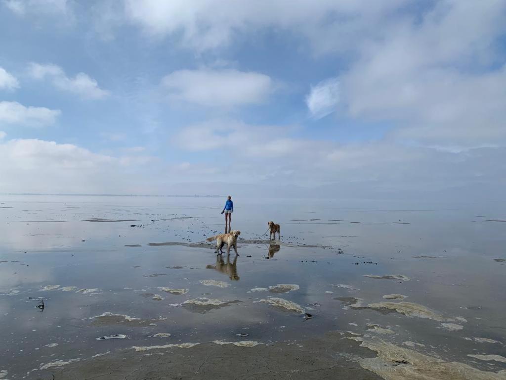 דירות Westerland Chalet Seemowe Direkt Am Wattenmeer Aan De Waddenzee Nordsee 600 Meter Zum Badestrand, Angeln מראה חיצוני תמונה